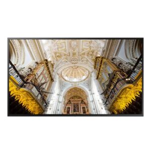 Professional Display QBN Series 43”